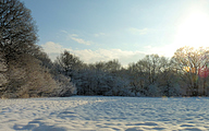 Snow on the Woldberg